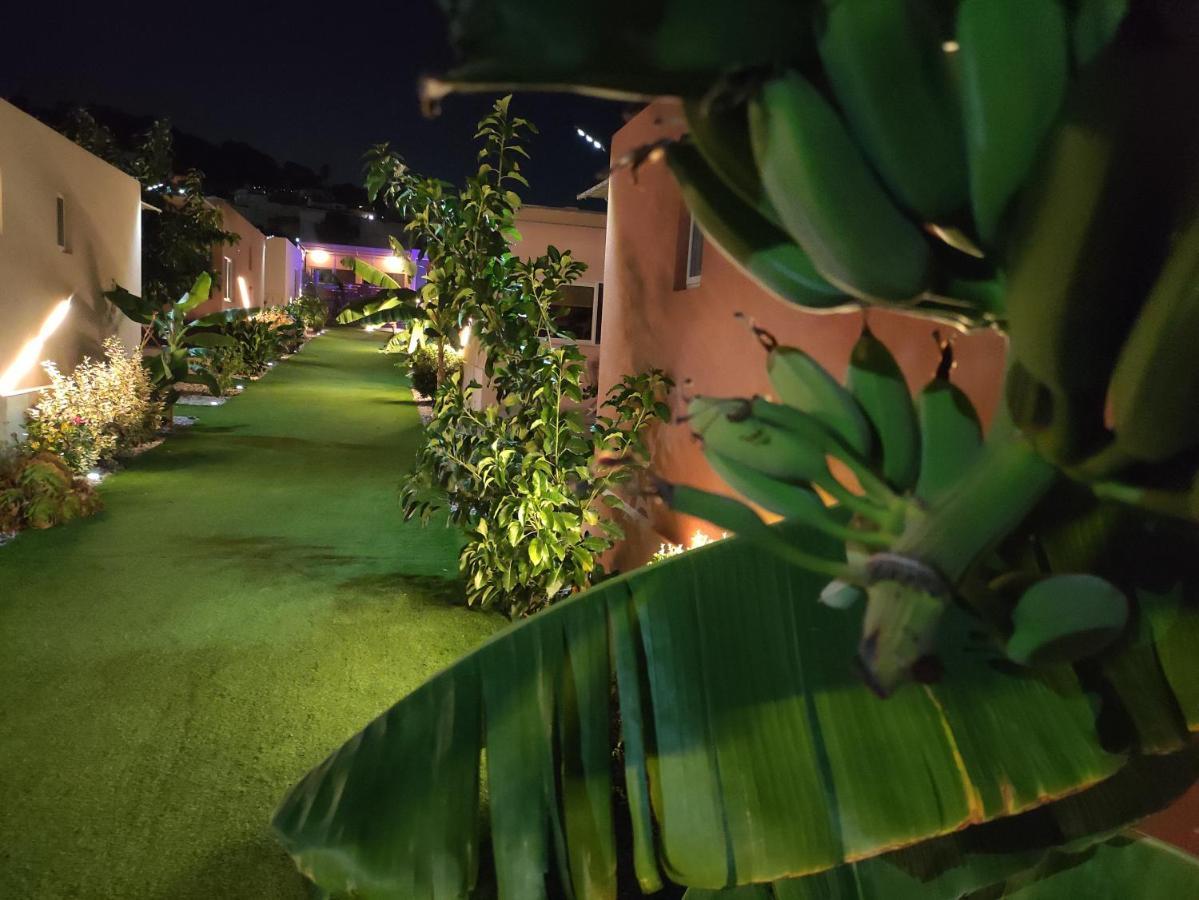 Modular Bungalows With Heated Pool Artemis Greece Zewnętrze zdjęcie